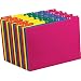 Algopix Similar Product 13 - Pendaflex 40142 Top Tab File Guides