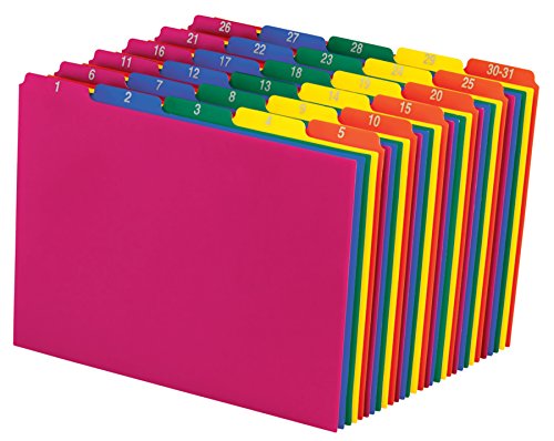 Algopix Similar Product 11 - Pendaflex 40143 Top Tab File Guides