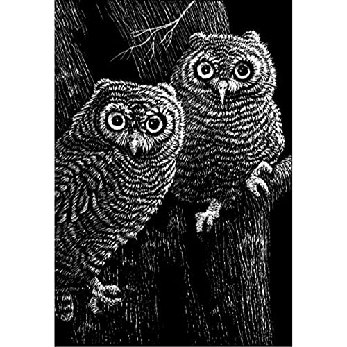 Algopix Similar Product 10 - Scratch Art Black Coated Scratchboards