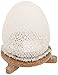 Algopix Similar Product 13 - AUERLICHT Preformed Hard Inverted
