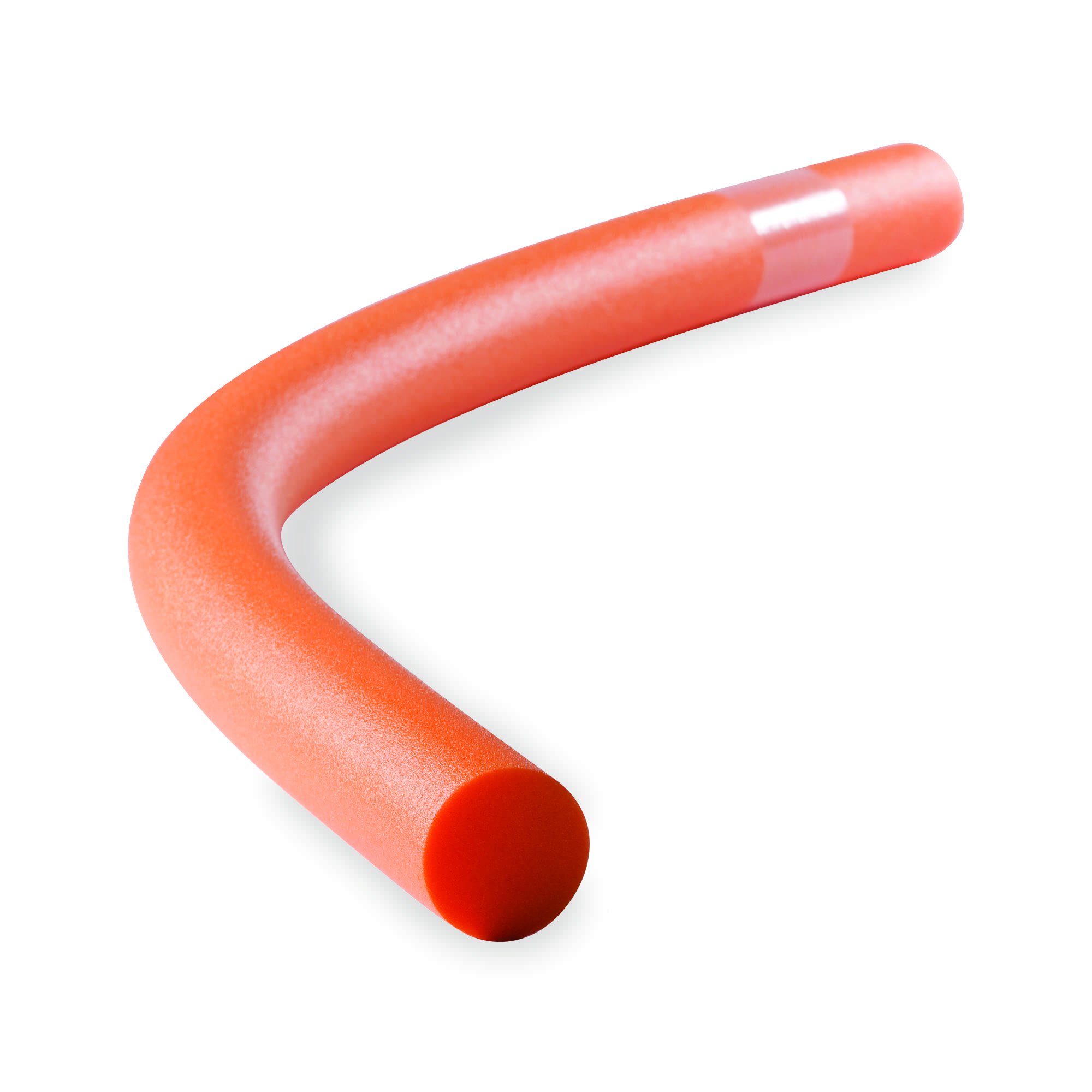 Algopix Similar Product 6 - Physical Company Water Noodles - Single