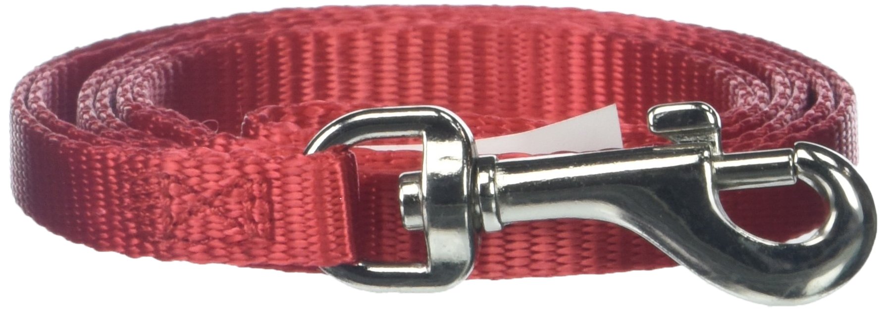 Algopix Similar Product 14 - Aspen Pet Nylon leash Red 38Wide