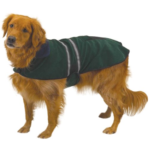 Algopix Similar Product 16 - Casual Canine Reflective Jacket for