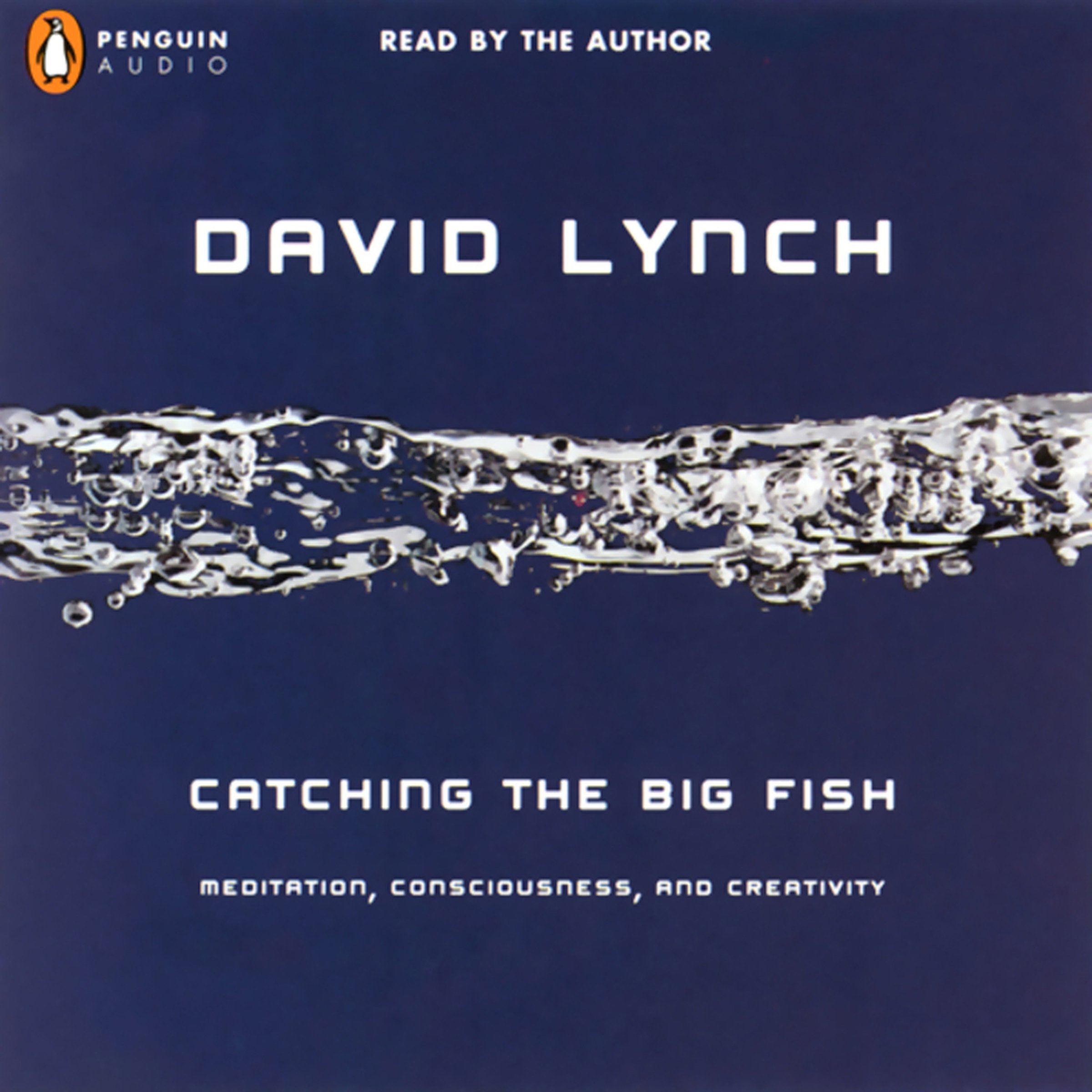 Algopix Similar Product 11 - Catching the Big Fish Meditation