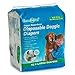 Algopix Similar Product 4 - Clean Go Pet Disposable Doggie Diapers