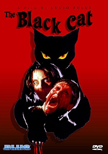 Algopix Similar Product 15 - The Black Cat