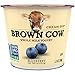 Algopix Similar Product 6 - Brown Cow Cream Top Blueberry on the