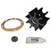 Algopix Similar Product 1 - Jabsco 8360003P Nitrile Drive Type