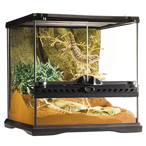 Algopix Similar Product 11 - Exo Terra Glass Terrarium Kit for