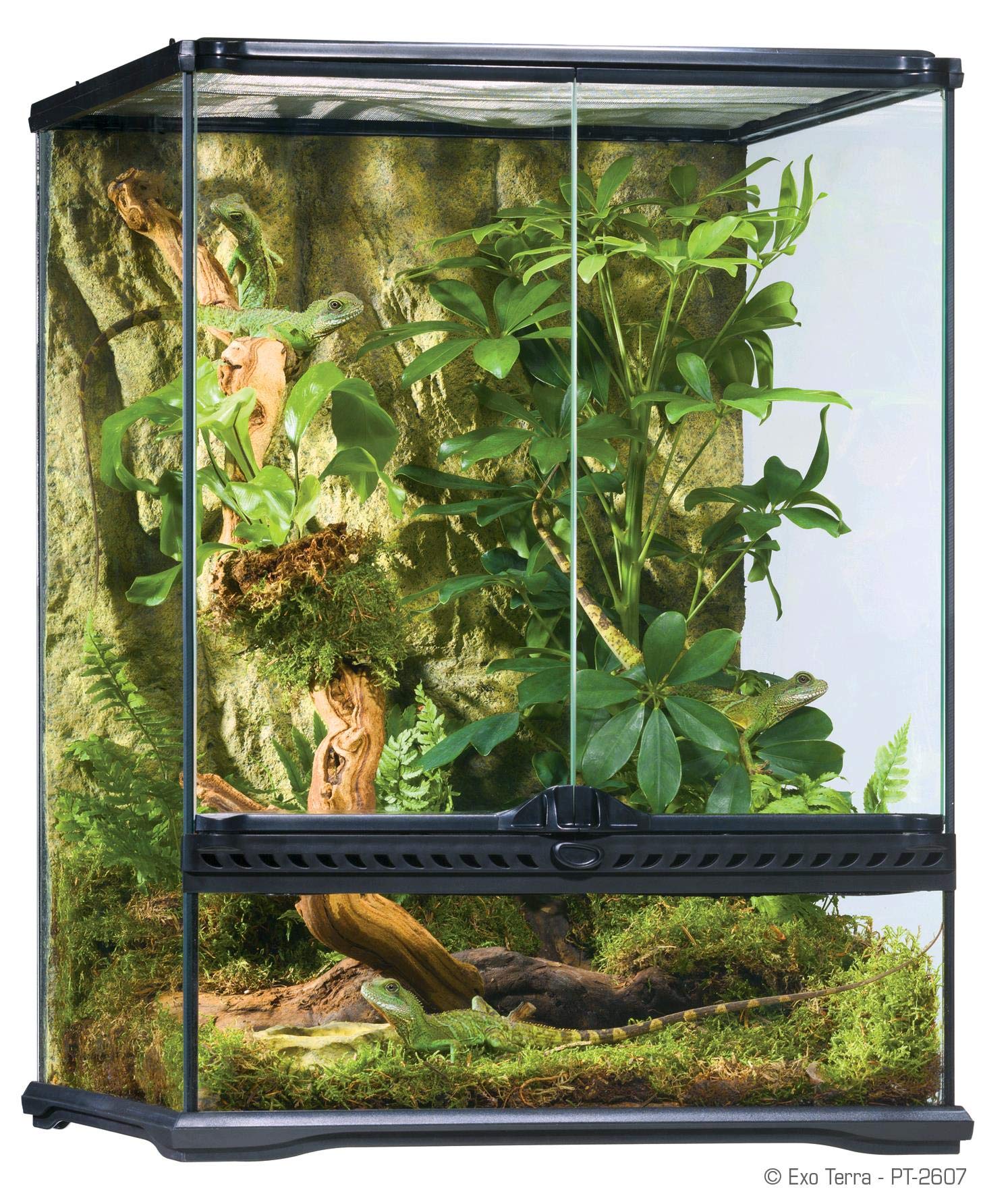Algopix Similar Product 14 - Exo Terra Glass Natural Terrarium Kit