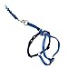Algopix Similar Product 13 - PetSafe Come With Me Kitty Harness and