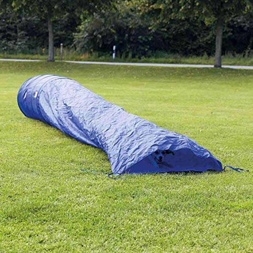 Algopix Similar Product 16 - TRIXIE Dog Activity Agility Sack
