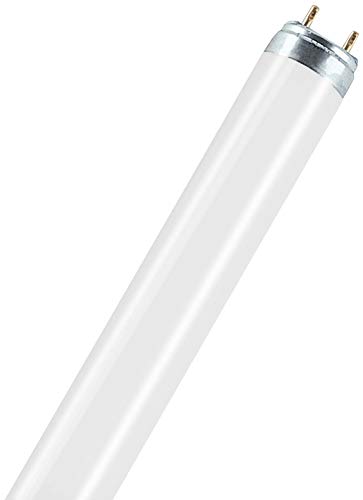 Algopix Similar Product 14 - Osram 010533  L 58W76 Straight T8