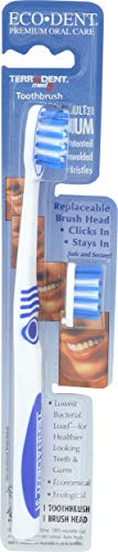 Algopix Similar Product 16 - Terradent 31 Toothbrush Plus Refill