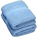 Algopix Similar Product 20 - Amazon Brand  Pinzon Heavyweight