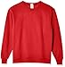Algopix Similar Product 7 - Hanes ComfortBlend Long Sleeve Fleece