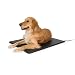 Algopix Similar Product 2 - KH PET PRODUCTS LectroKennel Outdoor