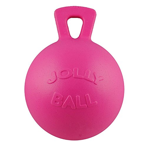 Algopix Similar Product 1 - Jolly Pets Horsemens Pride 10 Horse