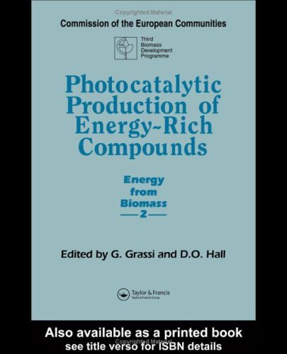 Algopix Similar Product 20 - Photocatalytic Production of