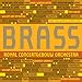 Algopix Similar Product 10 - Brass