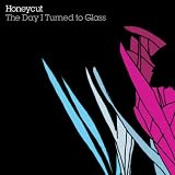 Algopix Similar Product 13 - The Day I Turned To Glass