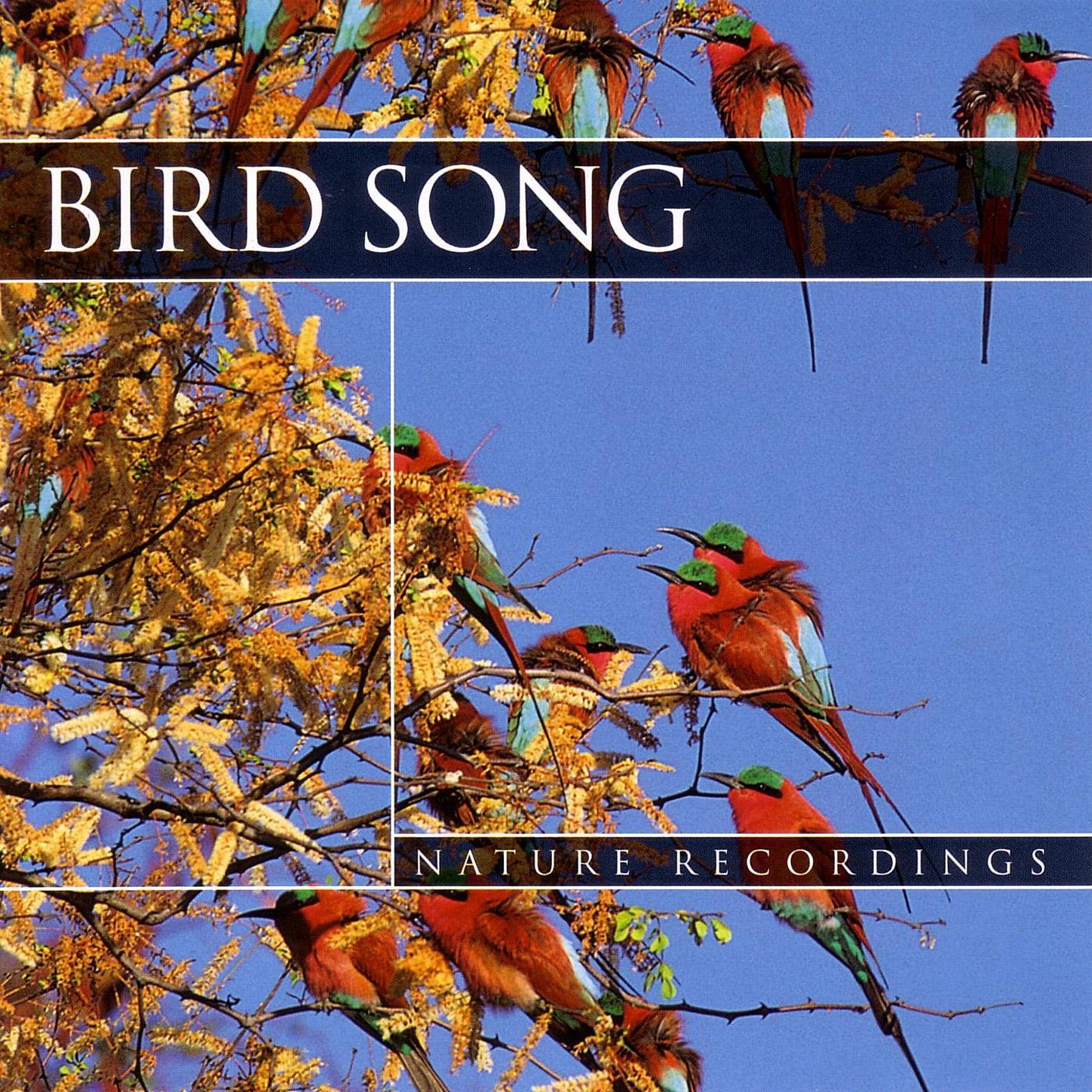 Algopix Similar Product 19 - Bird Song: Nature Recordings