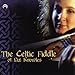 Algopix Similar Product 16 - The Celtic Fiddle Of Liz Knowles