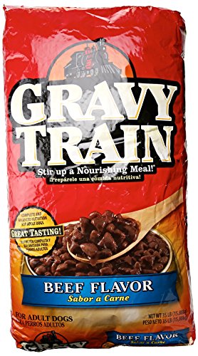 Algopix Similar Product 19 - Gravy35LB Beef Dog Food