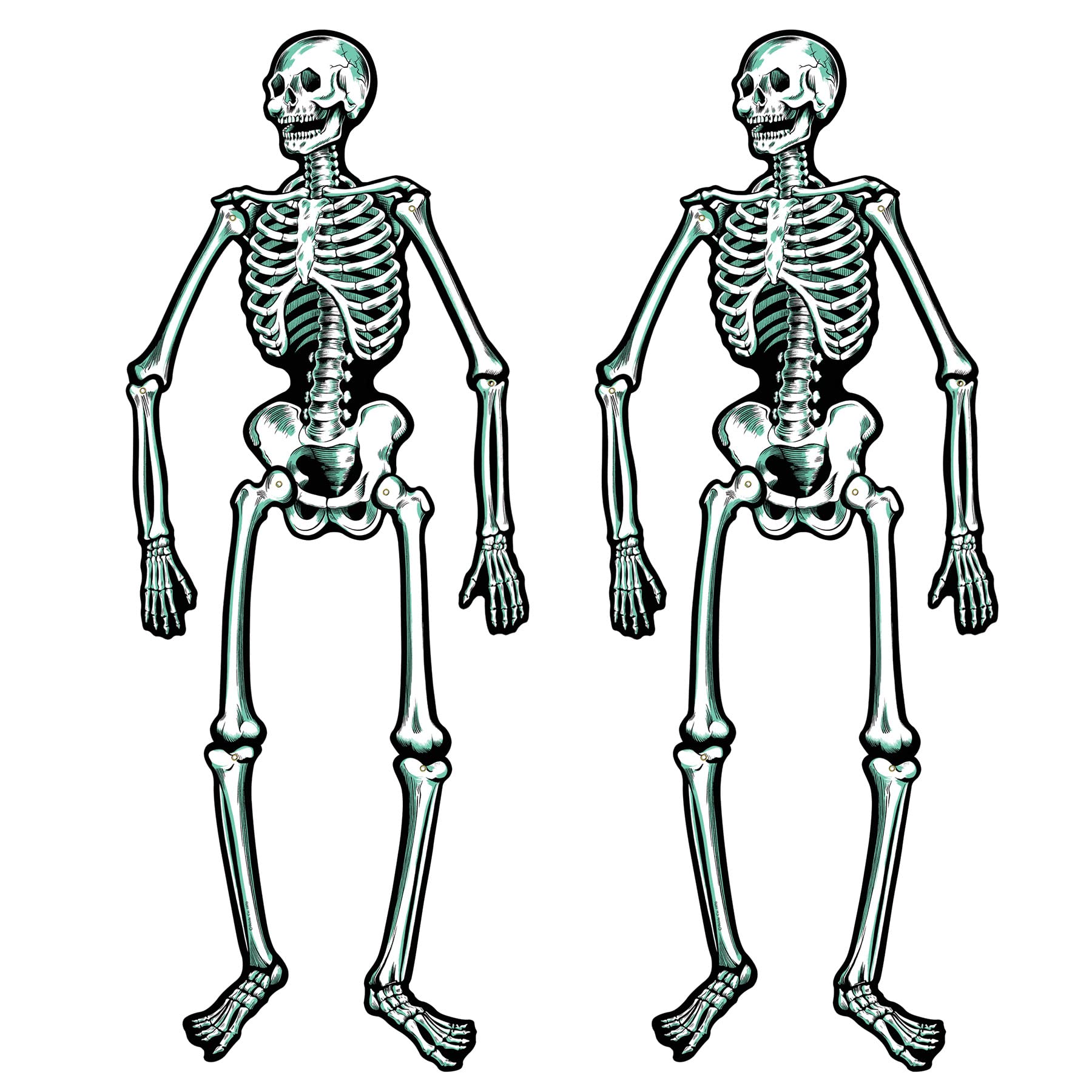 Algopix Similar Product 13 - Beistle Jointed Skeletons 22