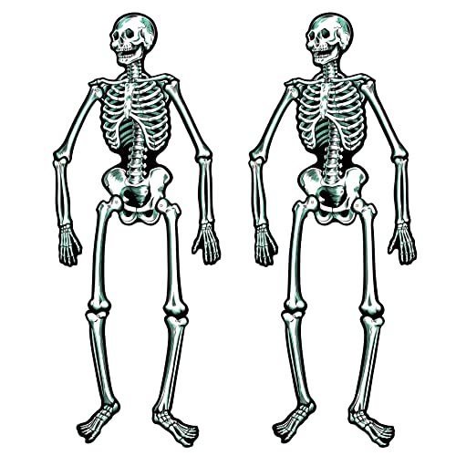 Algopix Similar Product 19 - Beistle Jointed Skeletons 22