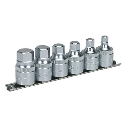 Algopix Similar Product 7 - Sealey AK6561 Hex Socket Bit Set with