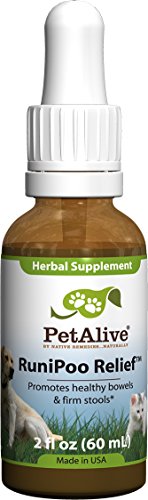 Algopix Similar Product 10 - PetAlive RuniPoo for Healthy Bowel and