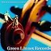 Algopix Similar Product 11 - Green Linnet Records The Twentieth