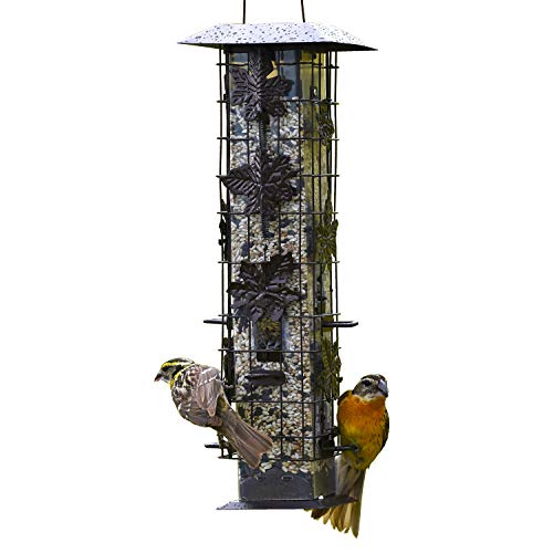 Algopix Similar Product 14 - PerkyPet 3361SR SquirrelBeGone Bird