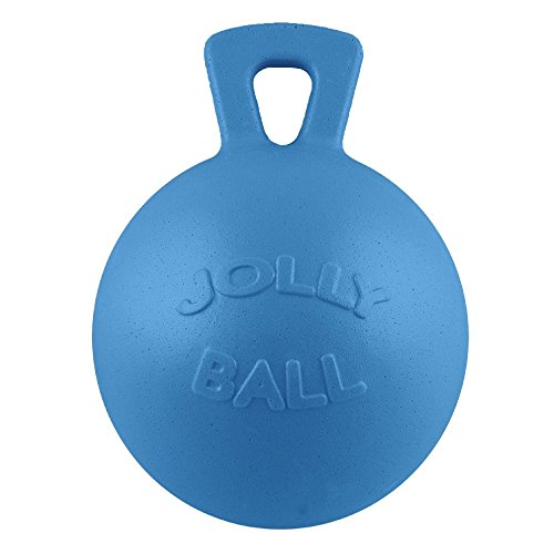 Algopix Similar Product 3 - Jolly Ball Blueberry