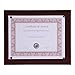 Algopix Similar Product 1 - Nudell Award Plaque 85 x 11 Walnut