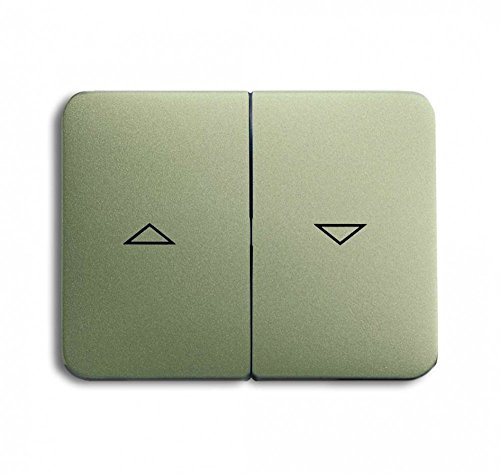 Algopix Similar Product 3 - BuschJaeger 1785JA21 Rocker Switch