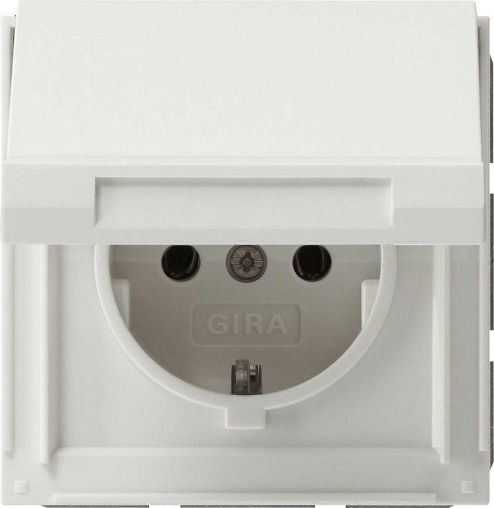 Algopix Similar Product 10 - GIRA 45466 Plug
