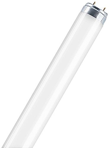 Algopix Similar Product 19 - Osram 446165  L 10W827 Straight T8