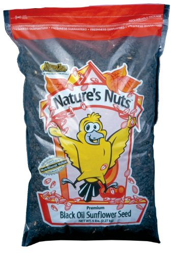 Algopix Similar Product 19 - Natures Nuts 00035 20 Lbs Premium Black
