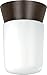 Algopix Similar Product 19 - Nuvo Lighting SF77156 Utility Fixture