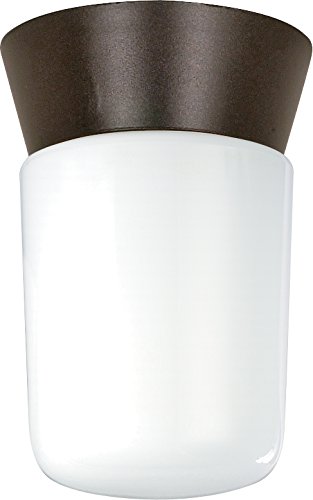 Algopix Similar Product 16 - Nuvo Lighting SF77156 Utility Fixture