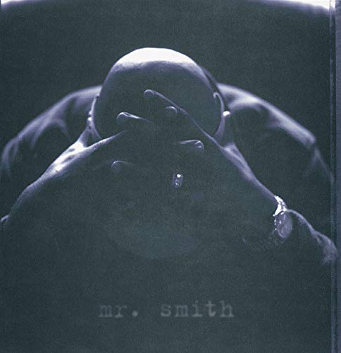 Algopix Similar Product 13 - Mr. Smith