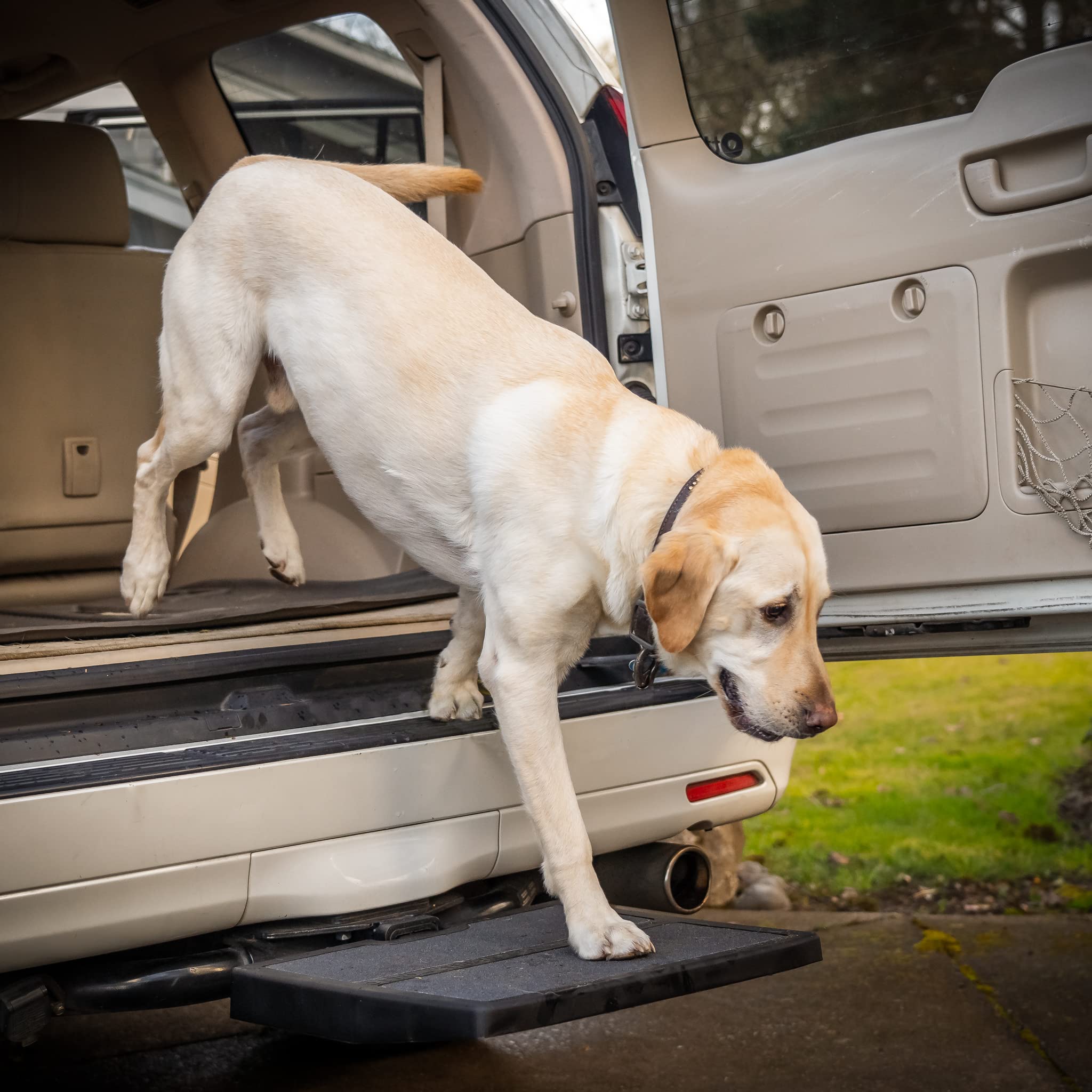 Algopix Similar Product 17 - Otto Step Pet Ramp Step Helps Dogs Get