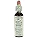 Algopix Similar Product 15 - Bach Flower Water Violet