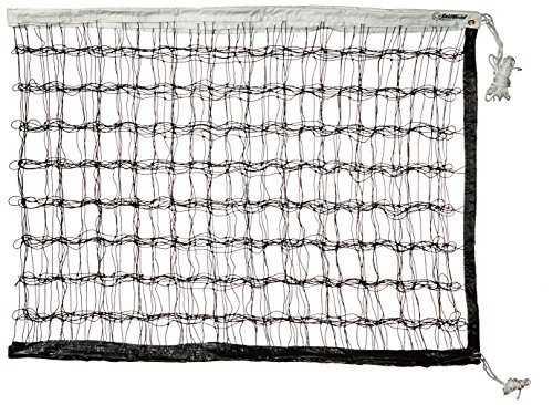 Algopix Similar Product 7 - Gold Medal Pro Power 2 Volleyball Net