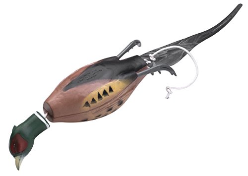 Algopix Similar Product 5 - Dokken Pheasant Dead Fowl
