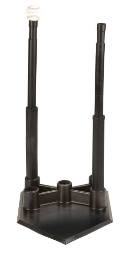 Algopix Similar Product 13 - Champion Sports 5-Position Batting Tee