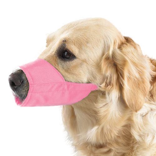 Algopix Similar Product 13 - Guardian Gear Lined Nylon Cat and Dog
