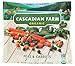Algopix Similar Product 12 - Cascadian Farm Organic Peas  Carrots